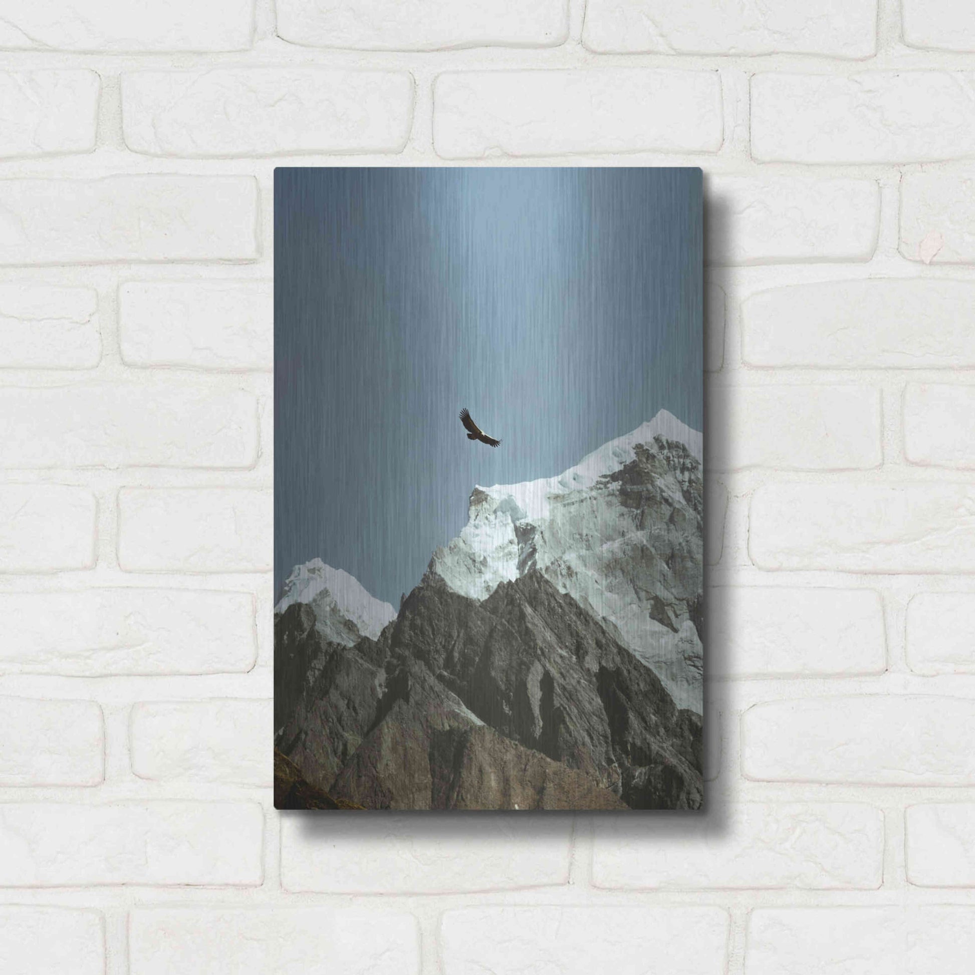 Luxe Metal Art 'Himalayan Eagle' by Epic Portfolio, Metal Wall Art,12x16