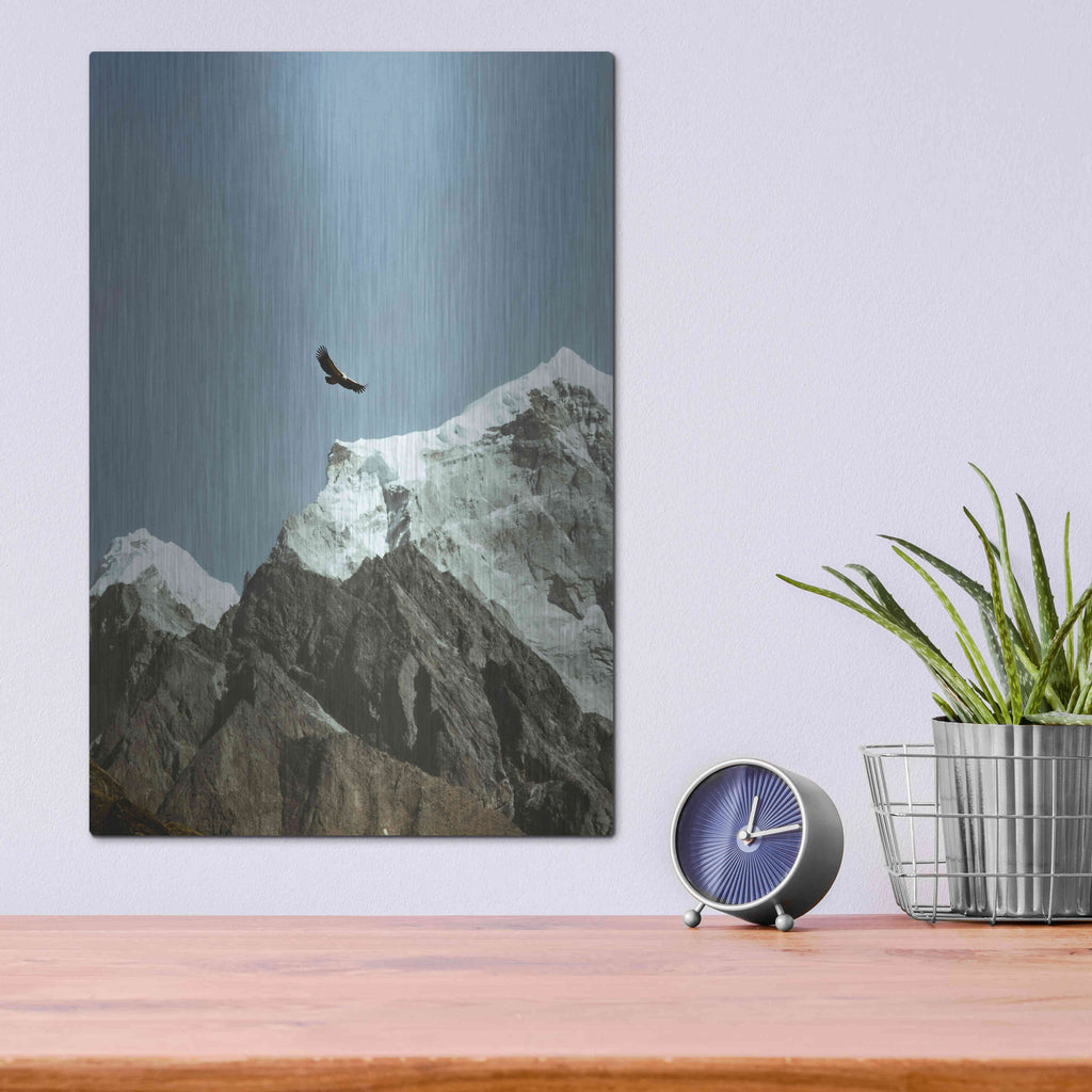 Luxe Metal Art 'Himalayan Eagle' by Epic Portfolio, Metal Wall Art,12x16