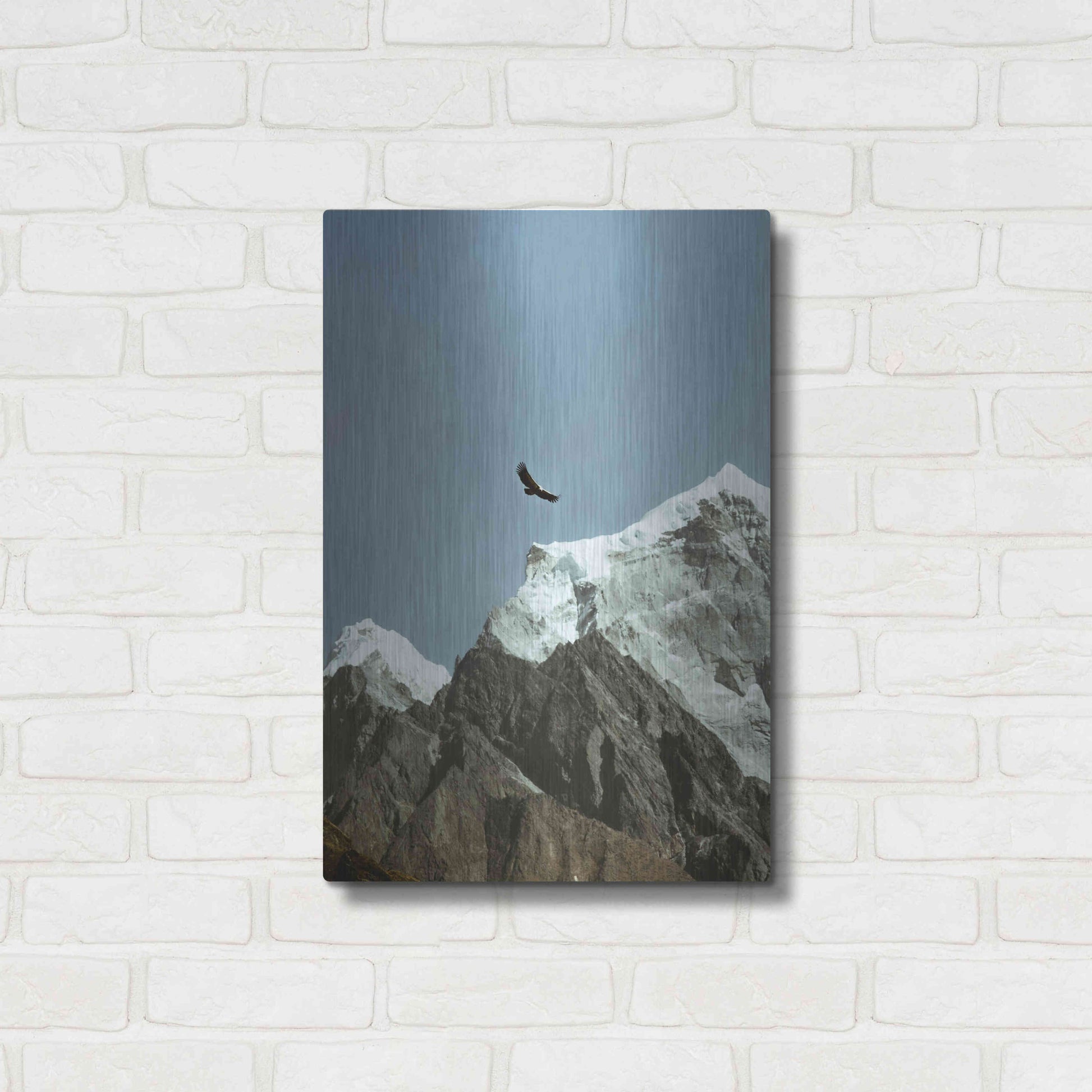 Luxe Metal Art 'Himalayan Eagle' by Epic Portfolio, Metal Wall Art,16x24