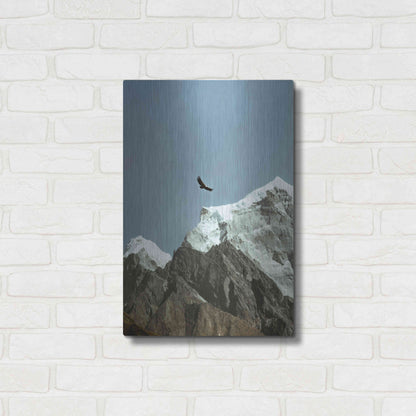Luxe Metal Art 'Himalayan Eagle' by Epic Portfolio, Metal Wall Art,16x24