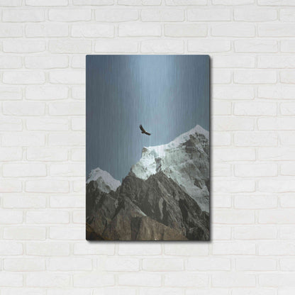 Luxe Metal Art 'Himalayan Eagle' by Epic Portfolio, Metal Wall Art,24x36