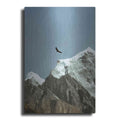 Luxe Metal Art 'Himalayan Eagle' by Epic Portfolio, Metal Wall Art
