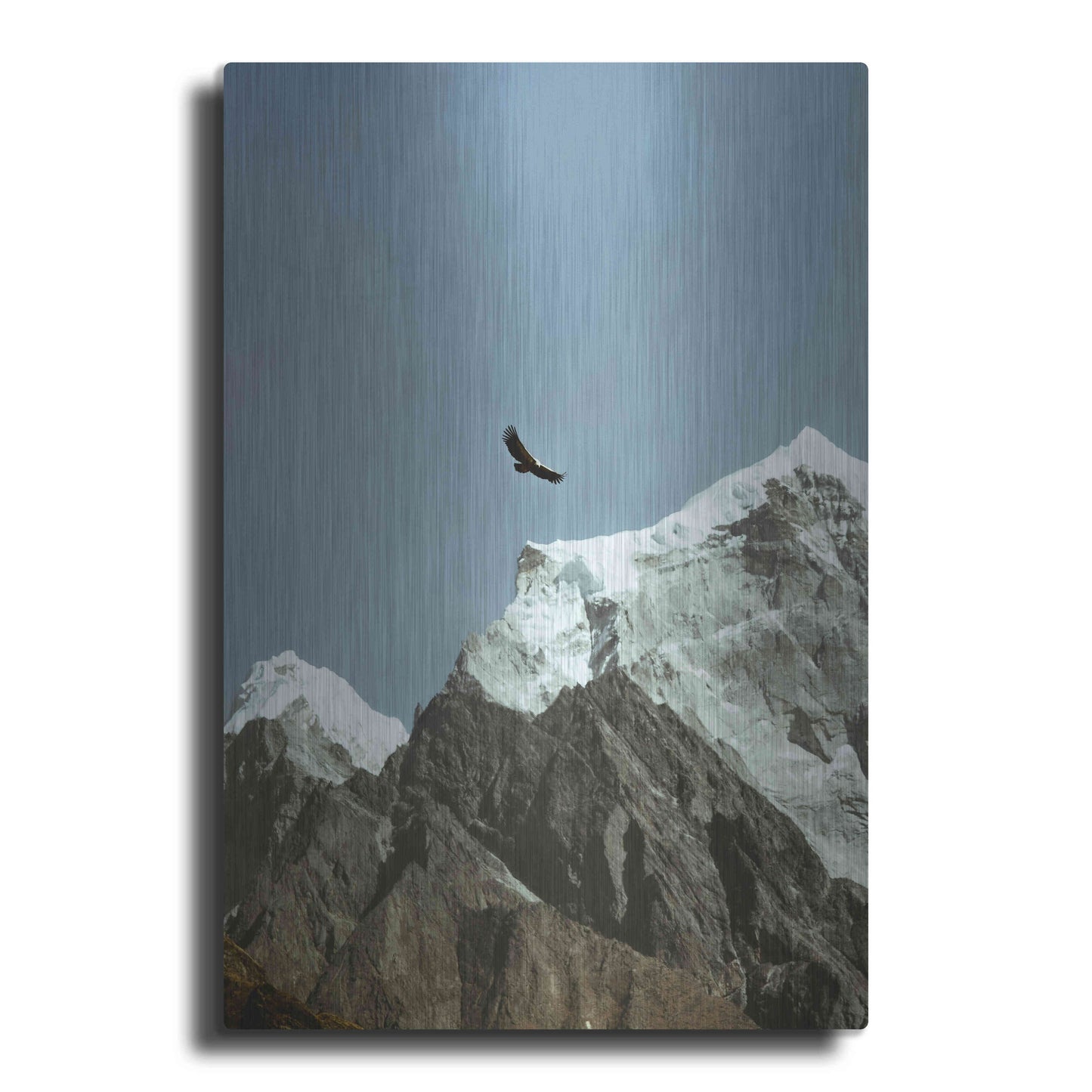 Luxe Metal Art 'Himalayan Eagle' by Epic Portfolio, Metal Wall Art