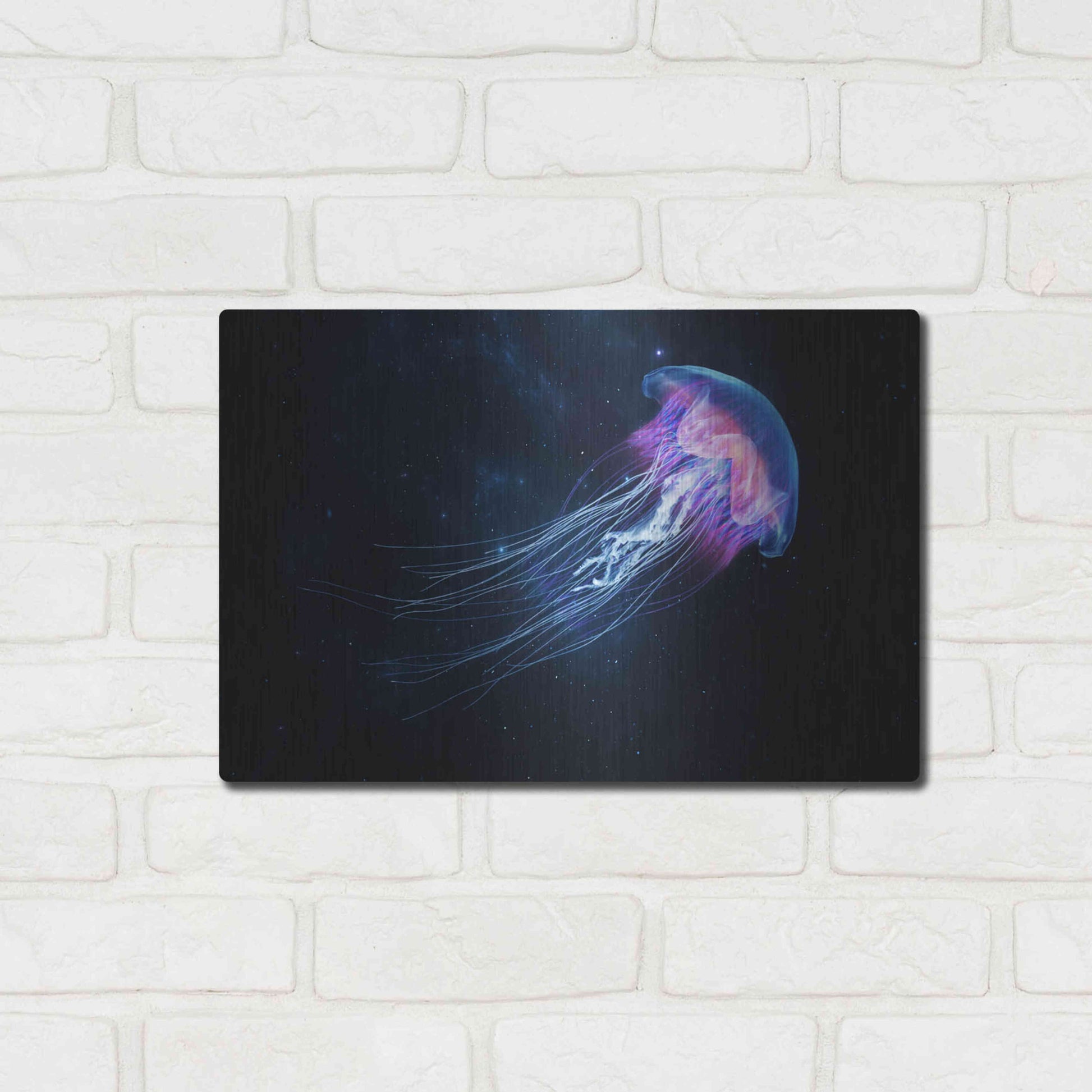 Luxe Metal Art 'Jellyfish Spacewalk' by Epic Portfolio, Metal Wall Art,16x12