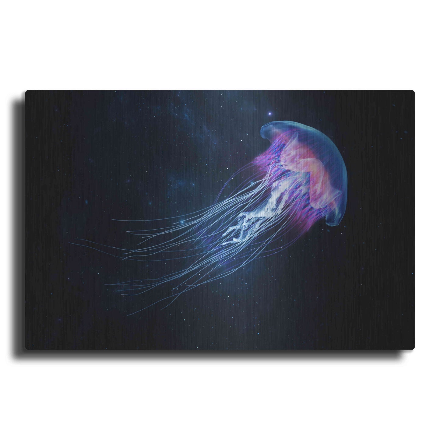 Luxe Metal Art 'Jellyfish Spacewalk' by Epic Portfolio, Metal Wall Art