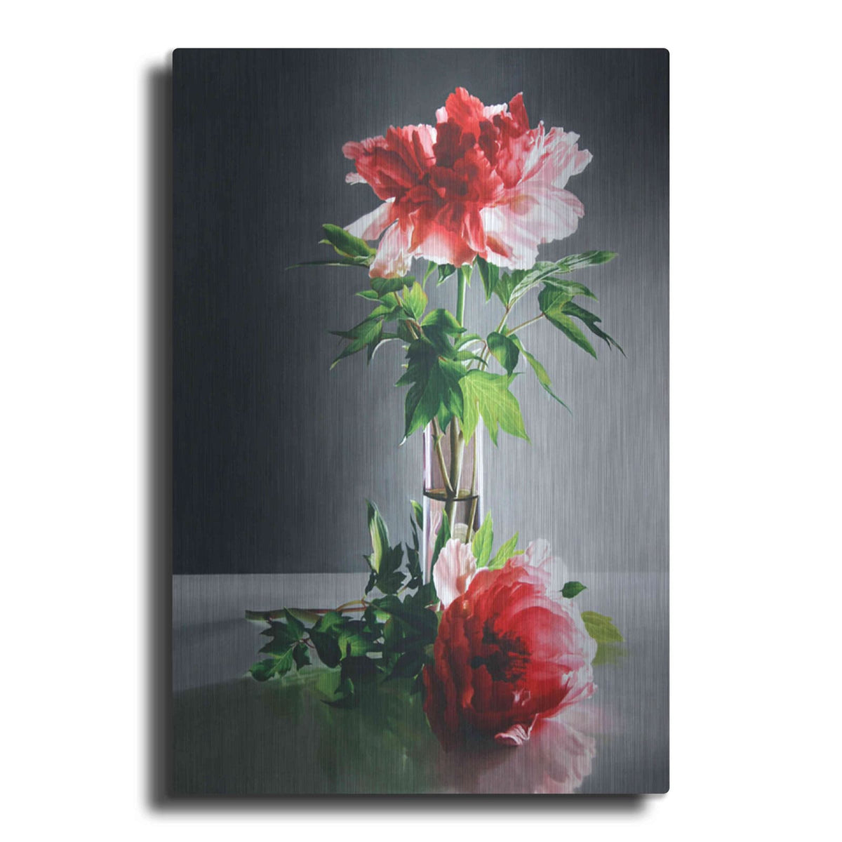 'Fragile Beauty' by Cecile Baird – Metal Wall Art
