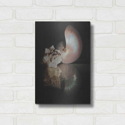 Luxe Metal Art 'Pearl Nautilus' by Cecile Baird, Metal Wall Art,12x16