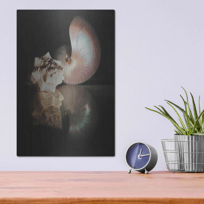 Luxe Metal Art 'Pearl Nautilus' by Cecile Baird, Metal Wall Art,12x16