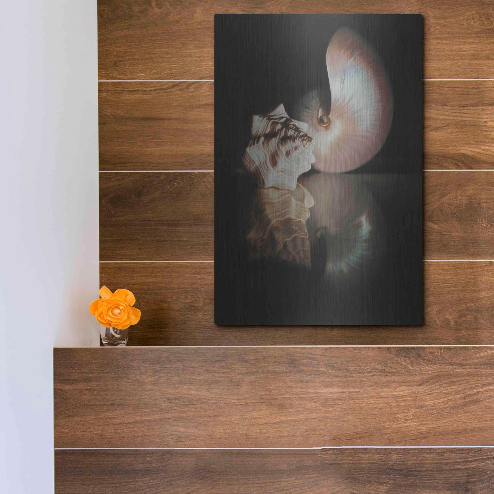 Luxe Metal Art 'Pearl Nautilus' by Cecile Baird, Metal Wall Art,12x16