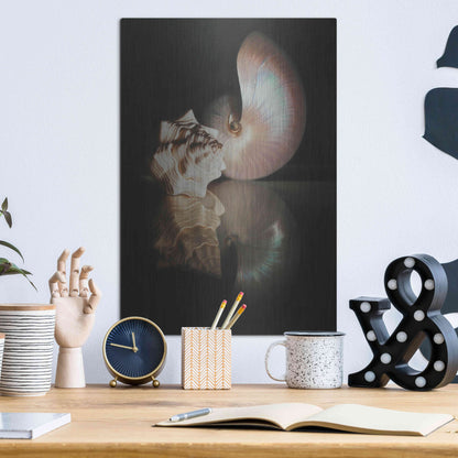 Luxe Metal Art 'Pearl Nautilus' by Cecile Baird, Metal Wall Art,12x16