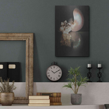 Luxe Metal Art 'Pearl Nautilus' by Cecile Baird, Metal Wall Art,12x16