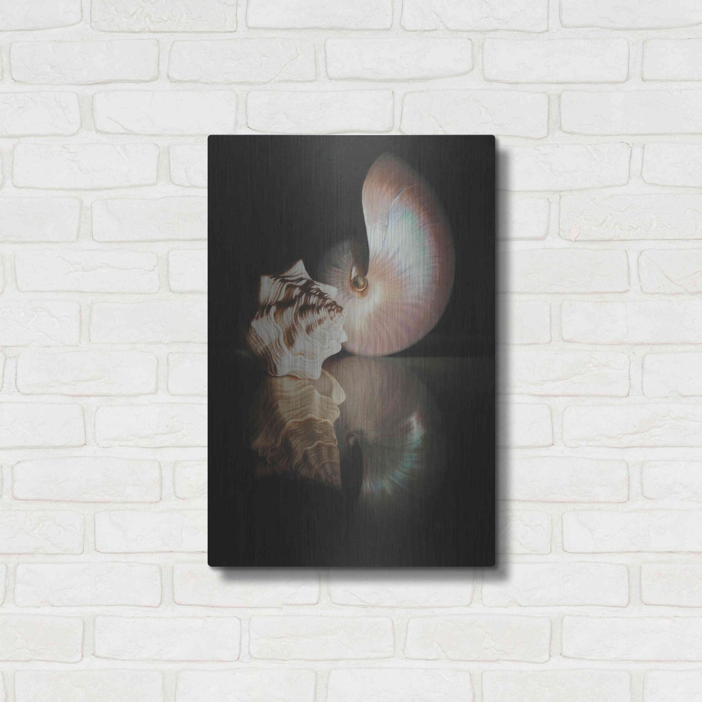 Luxe Metal Art 'Pearl Nautilus' by Cecile Baird, Metal Wall Art,16x24