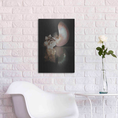 Luxe Metal Art 'Pearl Nautilus' by Cecile Baird, Metal Wall Art,16x24