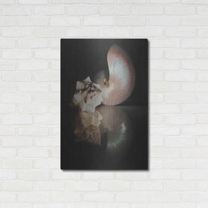 Luxe Metal Art 'Pearl Nautilus' by Cecile Baird, Metal Wall Art,24x36