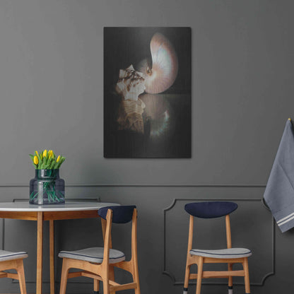 Luxe Metal Art 'Pearl Nautilus' by Cecile Baird, Metal Wall Art,24x36
