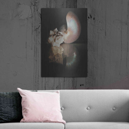 Luxe Metal Art 'Pearl Nautilus' by Cecile Baird, Metal Wall Art,24x36