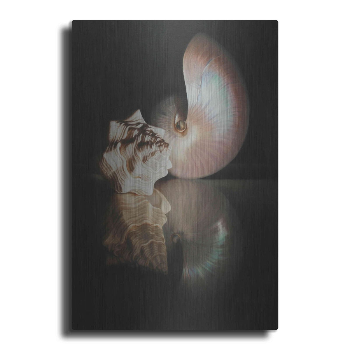 'Pearl Nautilus' by Cecile Baird – Metal Wall Art