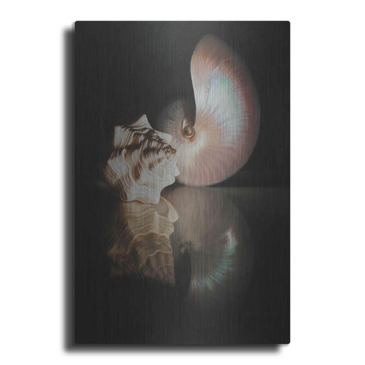 Luxe Metal Art 'Pearl Nautilus' by Cecile Baird, Metal Wall Art