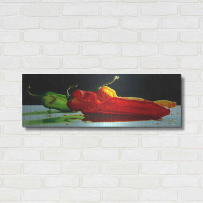 Luxe Metal Art 'Too Hot to Handle' by Cecile Baird, Metal Wall Art,36x12