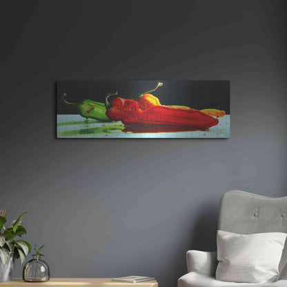 Luxe Metal Art 'Too Hot to Handle' by Cecile Baird, Metal Wall Art,36x12