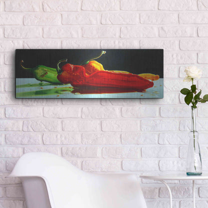 Luxe Metal Art 'Too Hot to Handle' by Cecile Baird, Metal Wall Art,36x12