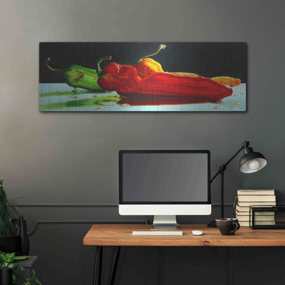 Luxe Metal Art 'Too Hot to Handle' by Cecile Baird, Metal Wall Art,48x16