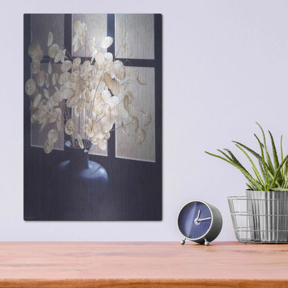 Luxe Metal Art 'Morning Light' by Cecile Baird, Metal Wall Art,12x16