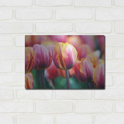 Luxe Metal Art 'Big Love Tulips' by Clive Branson, Metal Wall Art,16x12