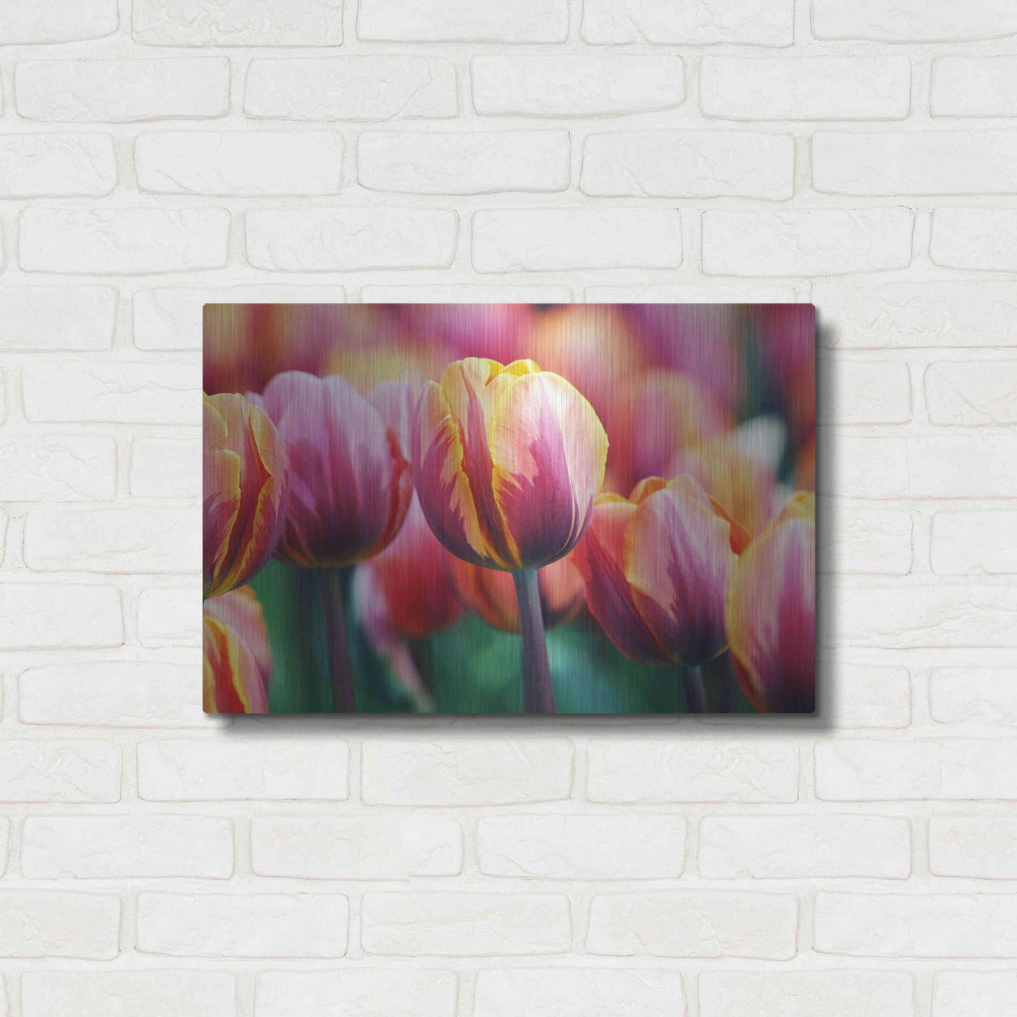 Luxe Metal Art 'Big Love Tulips' by Clive Branson, Metal Wall Art,24x16