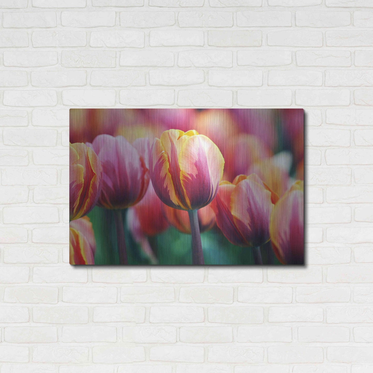 Luxe Metal Art 'Big Love Tulips' by Clive Branson, Metal Wall Art,36x24