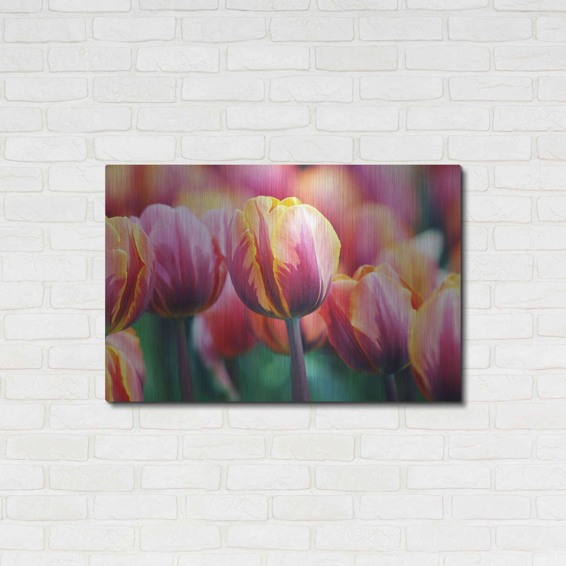 Luxe Metal Art 'Big Love Tulips' by Clive Branson, Metal Wall Art,36x24