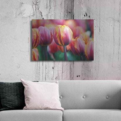 Luxe Metal Art 'Big Love Tulips' by Clive Branson, Metal Wall Art,36x24