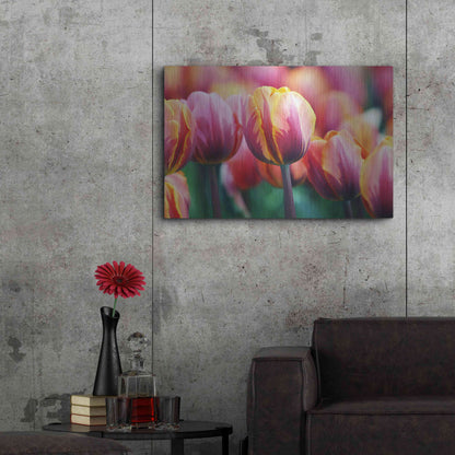 Luxe Metal Art 'Big Love Tulips' by Clive Branson, Metal Wall Art,36x24