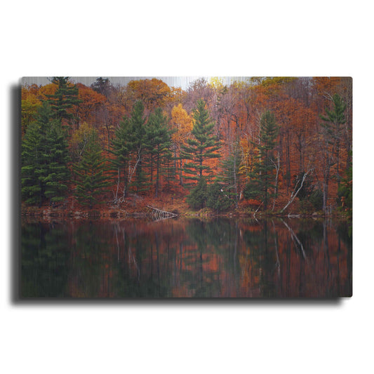 Luxe Metal Art 'Meech Lake Reflections' by Clive Branson, Metal Wall Art