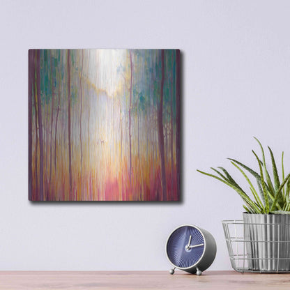 Luxe Metal Art 'Elusive 2' by Gill Bustamante, Metal Wall Art,12x12