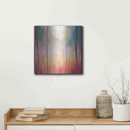 Luxe Metal Art 'Elusive 2' by Gill Bustamante, Metal Wall Art,12x12