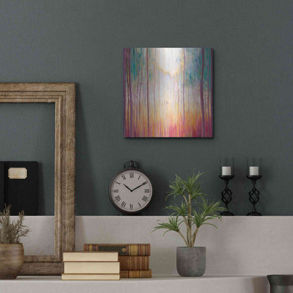 Luxe Metal Art 'Elusive 2' by Gill Bustamante, Metal Wall Art,12x12