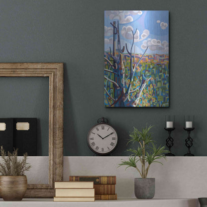 Luxe Metal Art 'Hockley Valley' by Mandy Budan, Metal Wall Art,12x16