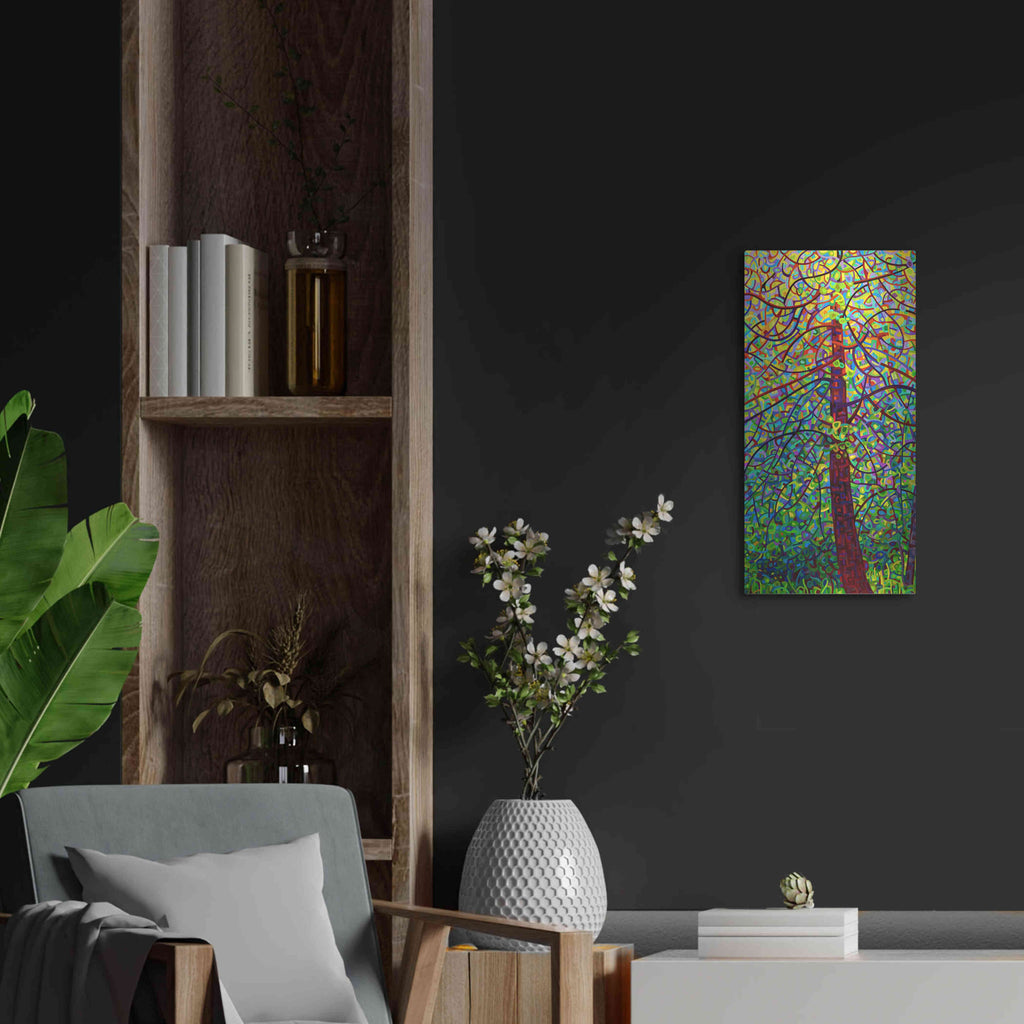 Luxe Metal Art 'Kaleidoscope' by Mandy Budan, Metal Wall Art,12x24