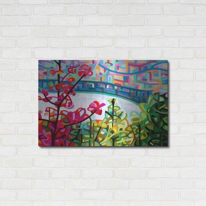 Luxe Metal Art 'Salmon Ridge' by Mandy Budan, Metal Wall Art,36x24