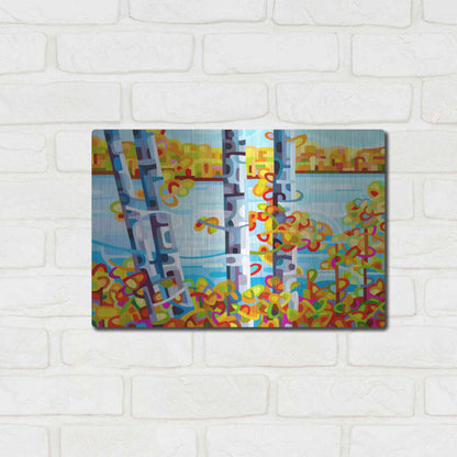 Luxe Metal Art 'Lakeside' by Mandy Budan, Metal Wall Art,16x12