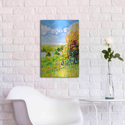 Luxe Metal Art 'Almost Autumn' by Mandy Budan, Metal Wall Art,16x24