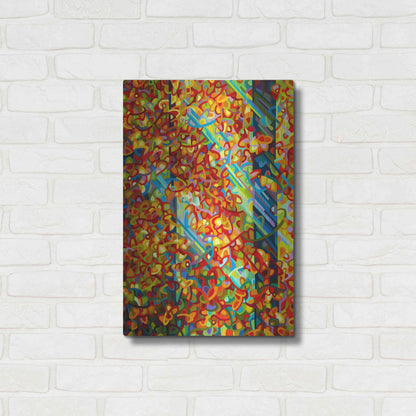 Luxe Metal Art 'Beaming' by Mandy Budan, Metal Wall Art,16x24