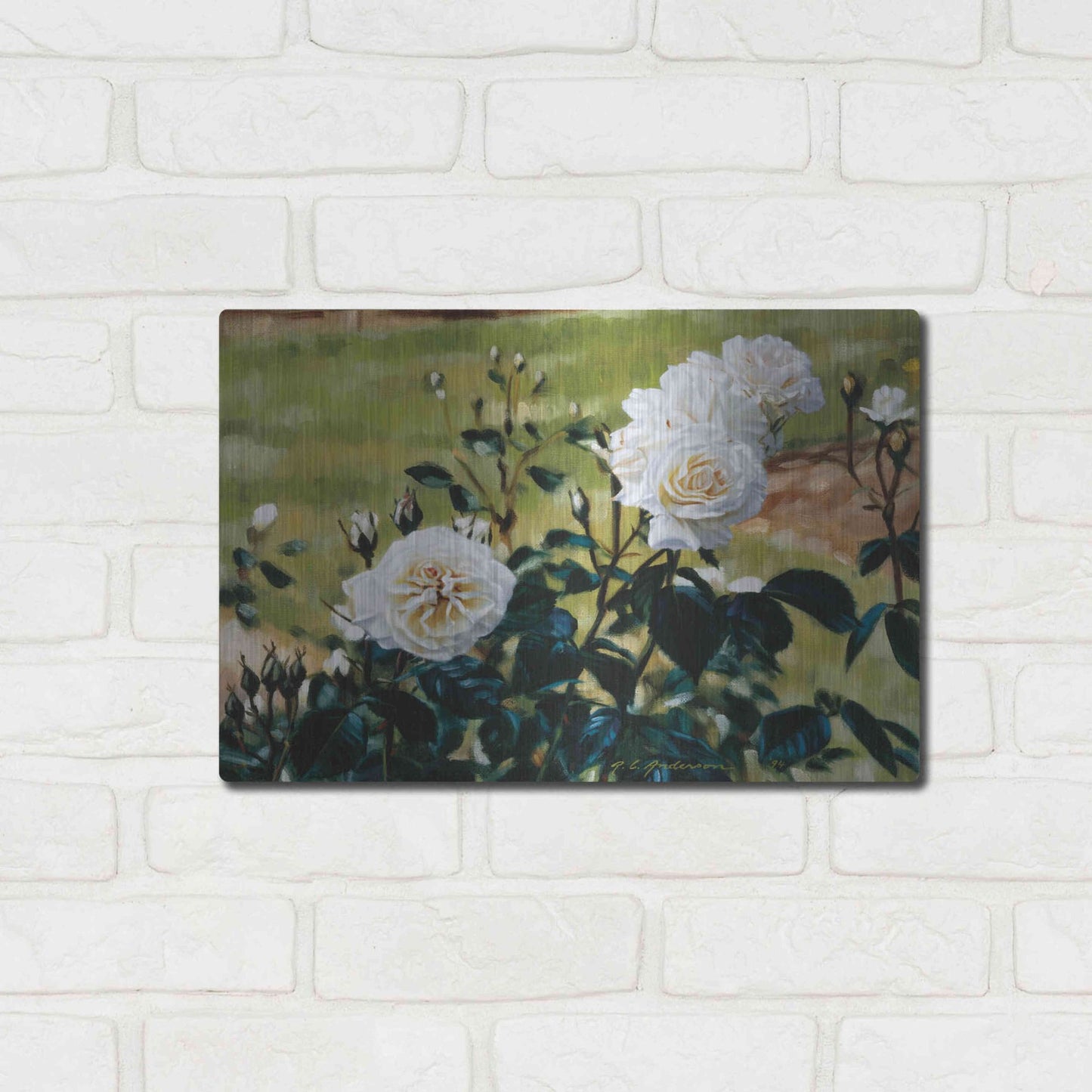 Luxe Metal Art 'White Roses' by Robin Anderson, Metal Wall Art,16x12