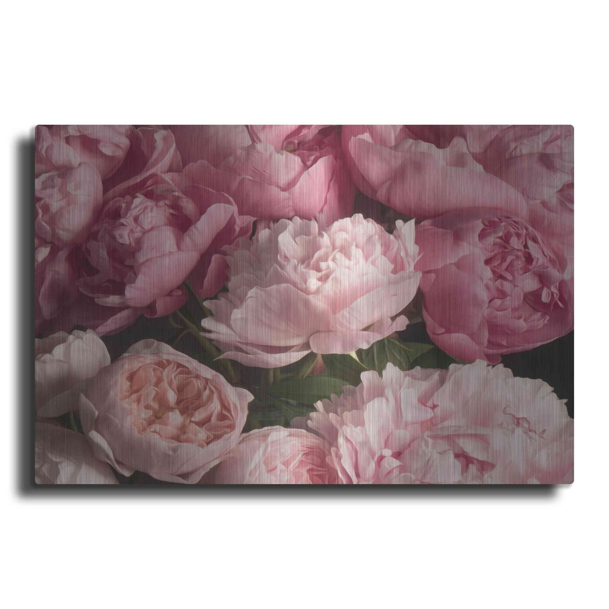 'Pink Petals' by Leah McLean – Metal Wall Art