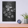 'A Monochrome Pocket Full of Posies' by Leah McLean – Metal Wall Art, 12x16 room view