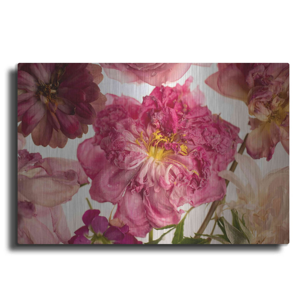 'Peony on White' by Leah McLean – Metal Wall Art