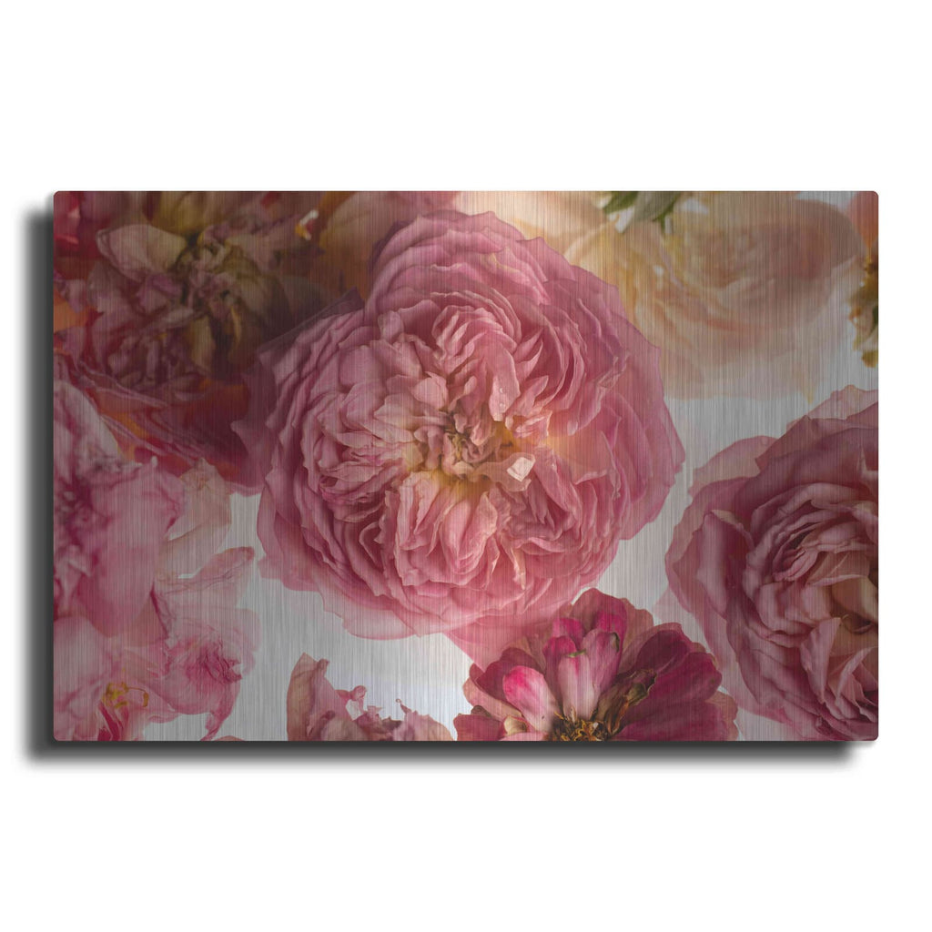 'Rose on White' by Leah McLean – Metal Wall Art