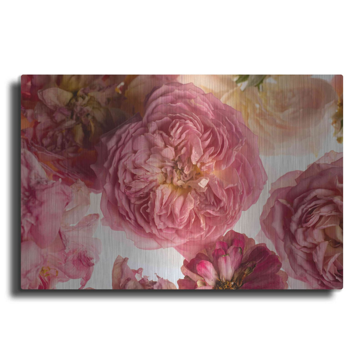 'Rose on White' by Leah McLean – Metal Wall Art