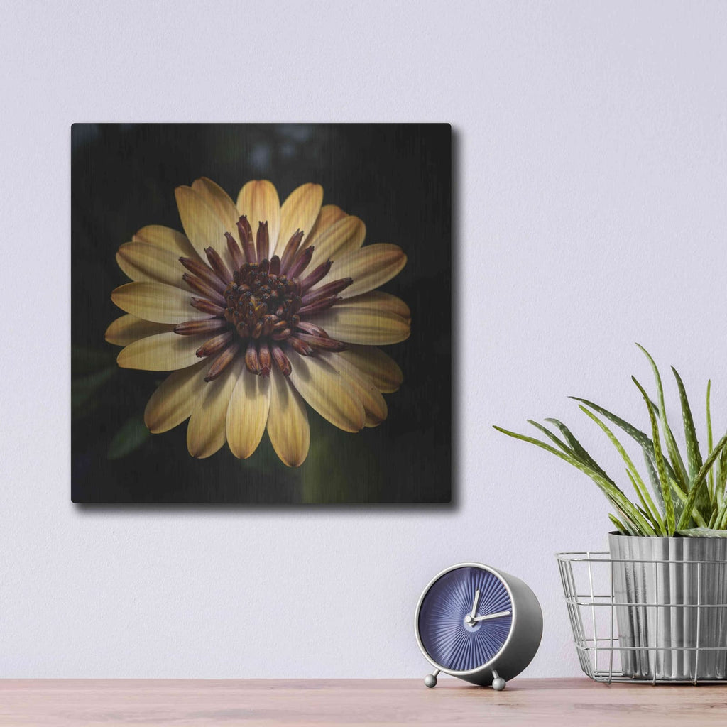 'Sunny Bloom' by Leah McLean – Metal Wall Art, 12x12 room view